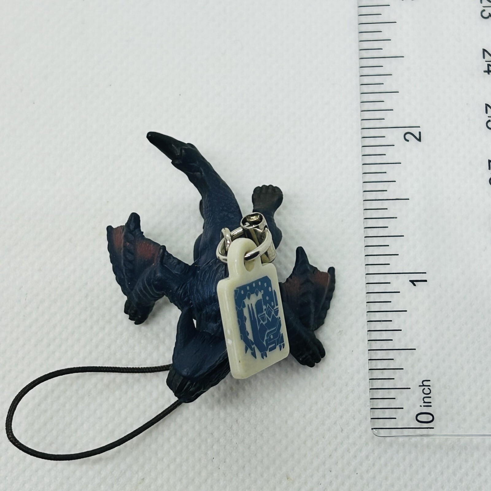 Picture 5 of 5