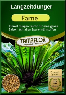 Farnendnger Dauerdnger fr Farne, einmal dngen reicht fr 12 Monate |  eBay.de