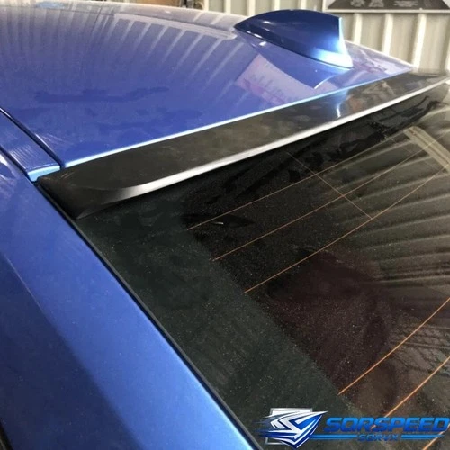 Chrysler 300 300C SRT8 2005-2010 Fits Rear Window Roof Spoiler Wing SQRvx 229R
