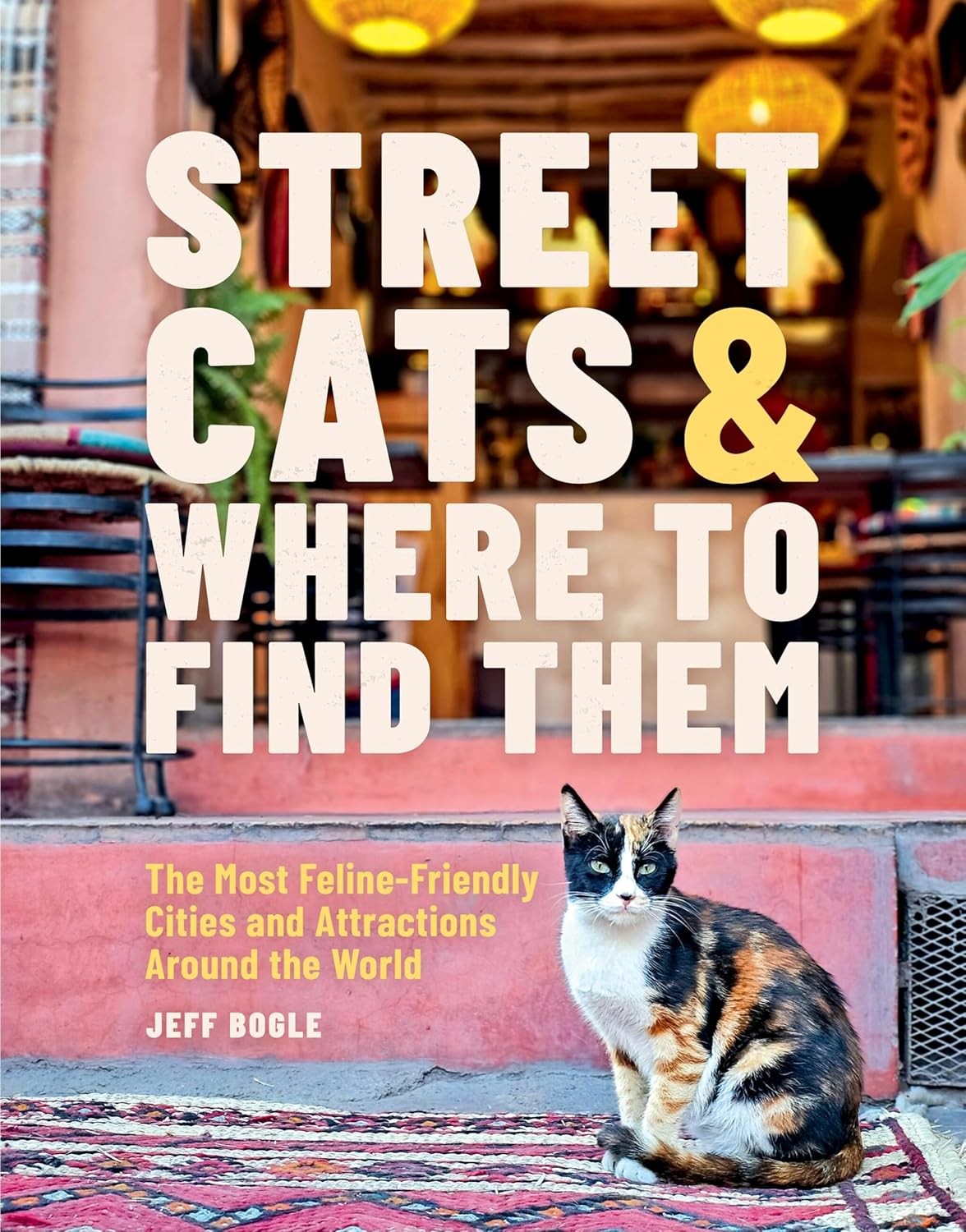 Street Cats & Where to Find Them: The Most Feline-Friendly Cities and Attraction