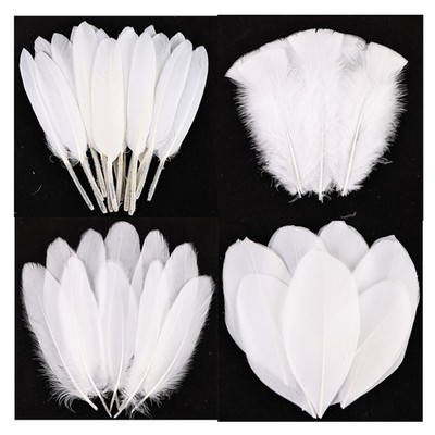 120pcs Natural Feathers Small 4 Styles Bulk for DIY Crafts Hat Wedding Home P