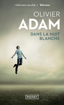 Dans la nuit blanche Olivier Adam