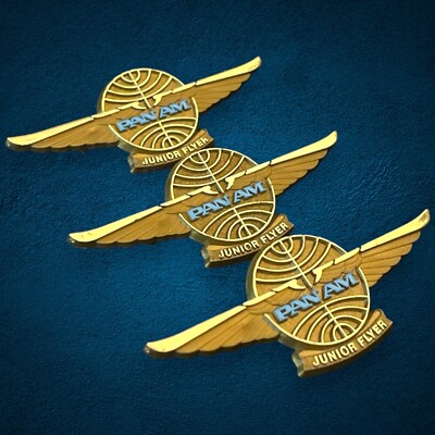 VTG Pan American Airlines PAA Pan Am Pilot Wings - Gold Tone
