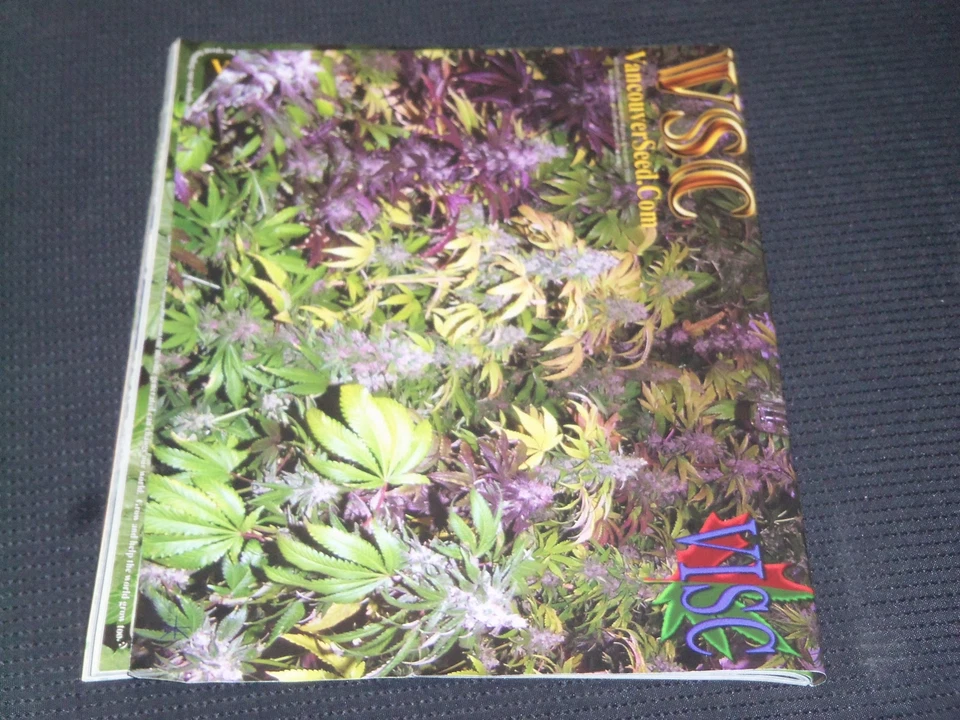 2010 SEPTEMBER HIGH TIMES MAGAZINE - 12TH GEAR OF THE YEAR FRONT COVER - L 20328 - Image 2 of 2