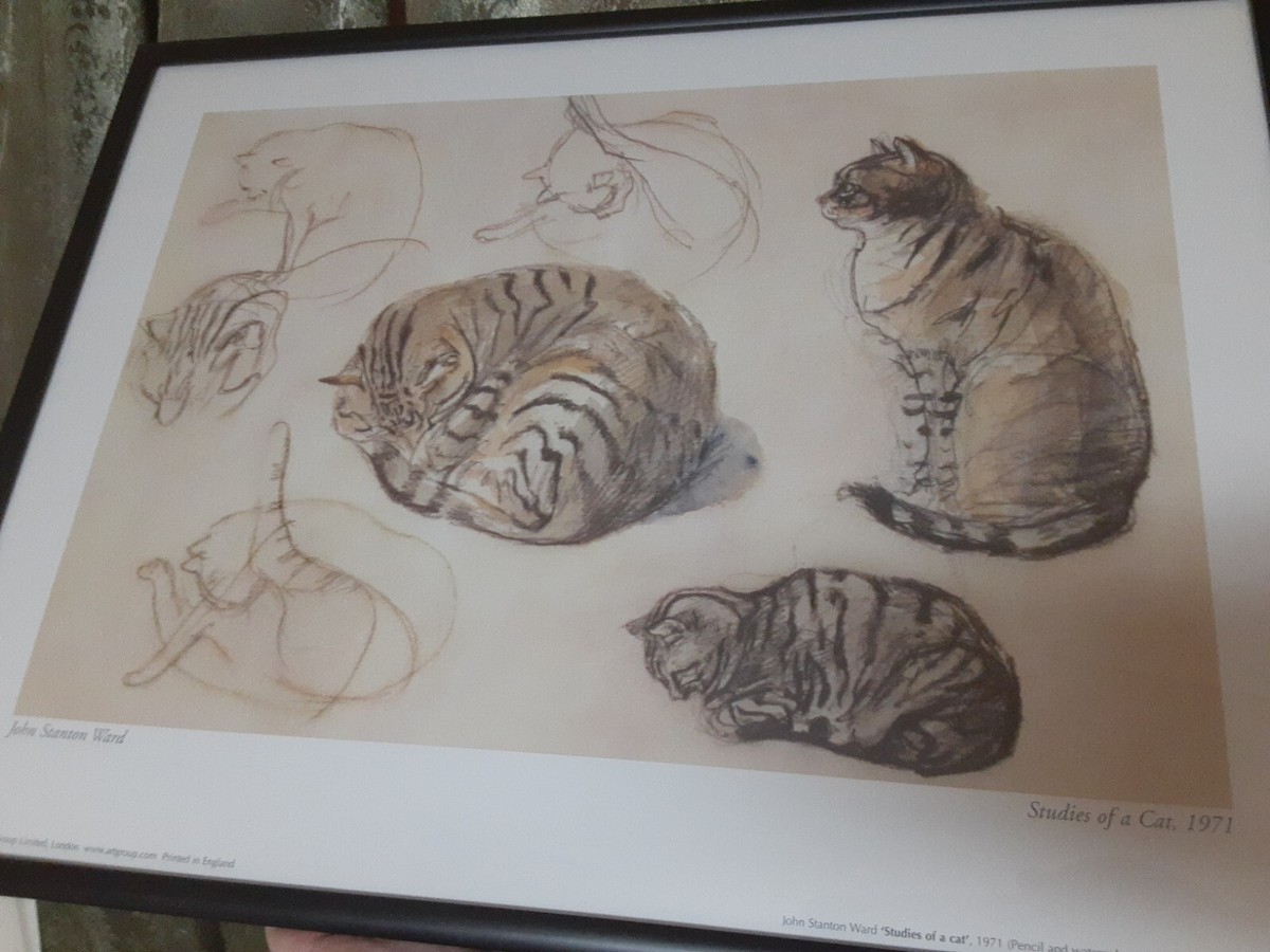 Kitti Narod 版画　print ED30 サインある Kitti Narod 版画 print ED30 サインある（Edo Cat Art Print