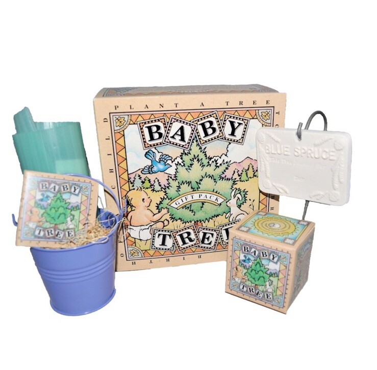 NIB Baby Grow A Tree Blue Spruce Baby Shower Boxed Gift Set Unique Memorable