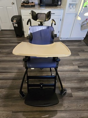 Large Rifton Activity Chair R870 Hi-lo base Spring Seat 250 lbs