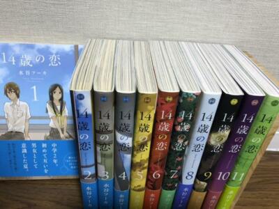 Love at Fourteen:14-sai no Koi Set Vol. 1-12 (aktuellste) Manga Comics Fuka M...