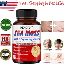 Sea Moss with 5 Organic Ingredients Capsules Support Immune & Weight Management
