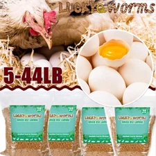 Dried Black Soldier Fly Larvae BSF Mealworm for Chicken 100% Natural Premium LOT