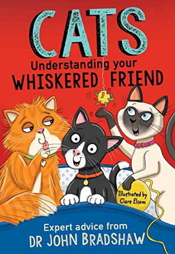 Cats: Understanding Your Whiskered Friend - Image 4