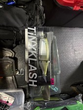 Tiny Klash Seino Freshwater Mullet