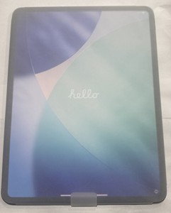 iPad Pro 13 M4 Cellular | eBay