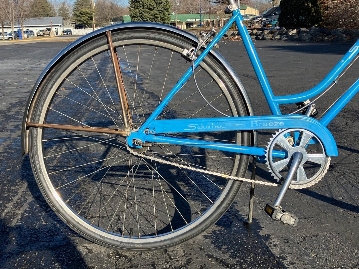 Reconditioned, Vintage 1974 Blue Schwinn Breeze, 19in, Sturmey
