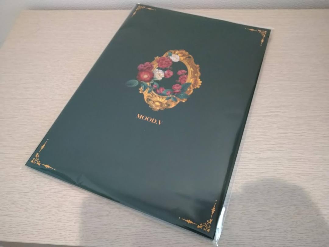 BTS MOOD. V EXHIBITION テヒョン フォトブック Bts Mood. V Exhibition Taehyung Photo Book | eBay