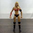 WWE Ruthless Aggression Series Series 31 Kelly Kelly Action Figure Jakks