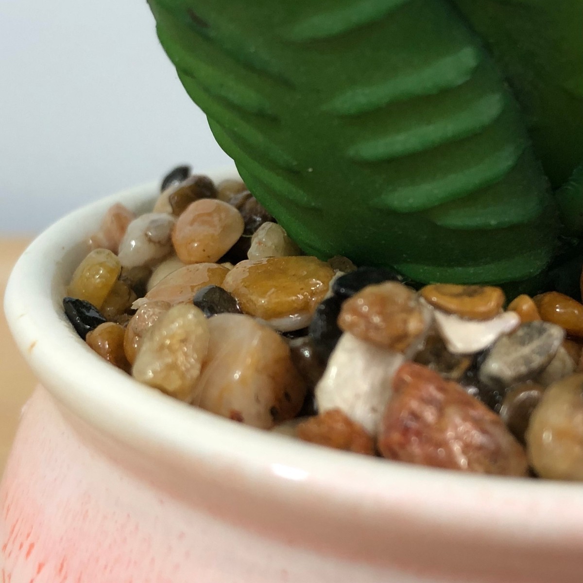 Peach Potted Cactus 6 inch Tall Detailed non prickly Cacti Plant