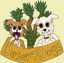 DesertDogs Used Motorcycle Parts