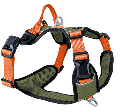 Petlando MAGNETECH GESCHIRR mit Griff Extraschnalle am Hals olive/orange XS-XL