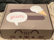 Pusheen Box Only Summer 2021  Ice Cream Fan Club  Pusheen Box Culture-fly