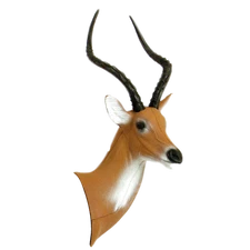 New Delta McKenzie Replacement African Impala Head