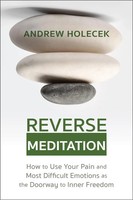 Reverse Meditation Andrew Holecek Taschenbuch Kartoniert / Broschiert Englisch