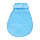 Afbeelding 17 van 24