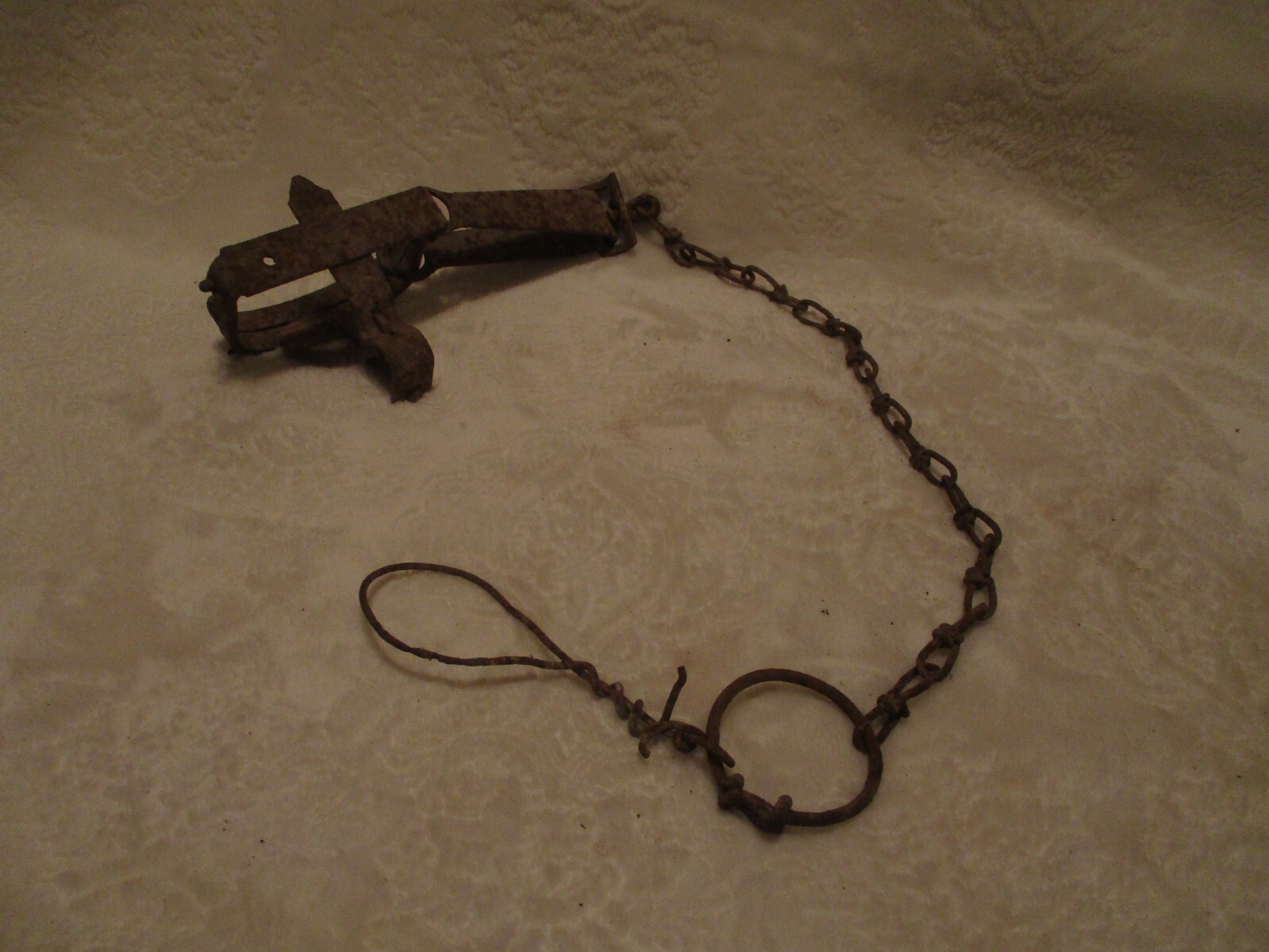 Picture 4 of 9