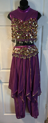 A Wish Come True Dance Belly Dancer Jeannie Costume 21816Y JAI HO LA Large  Adult