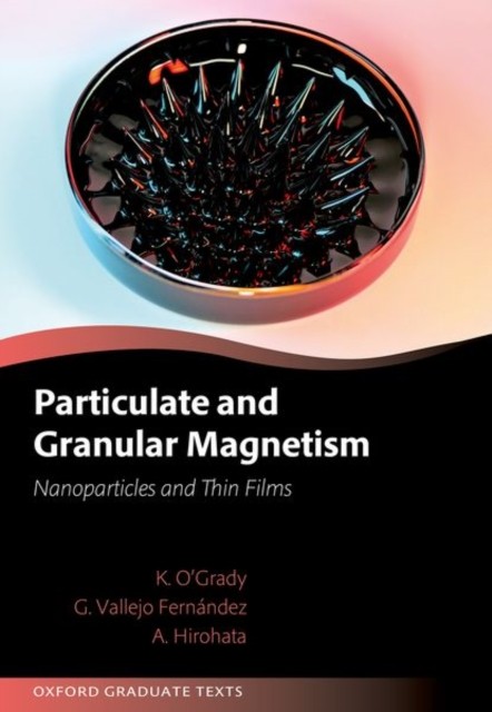 Particulate and Granular Magnetism by Dr Gonzalo Vallejo  Fernandez HARDBACK