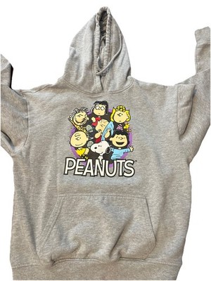 Peanuts Charlie Brown & the Gang Snoopy Hoodie Gray Sz Small EUC       g2