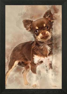 Chihuahua Blick auf Kamera Gerahmtes Wandbild Poster Leinwanddruck Bild