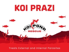 KOI PRAZI Fluke Destroyer for Fish Ponds & Aquariums - 100 Grams