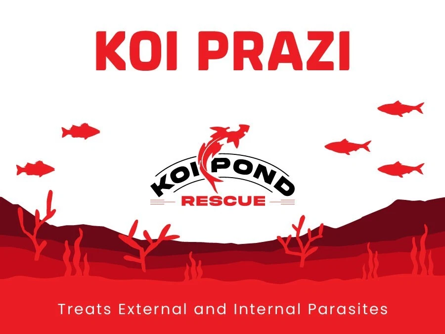 KOI POND RESCUE KOI PRAZI Fluke Destroyer for Fish Ponds & Aquariums - 50 Grams