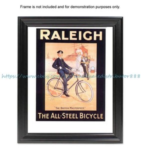raleigh bike accessories