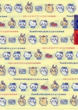 Chiikawa x Sanrio Characters Cream A5 Clear File 3P Japan