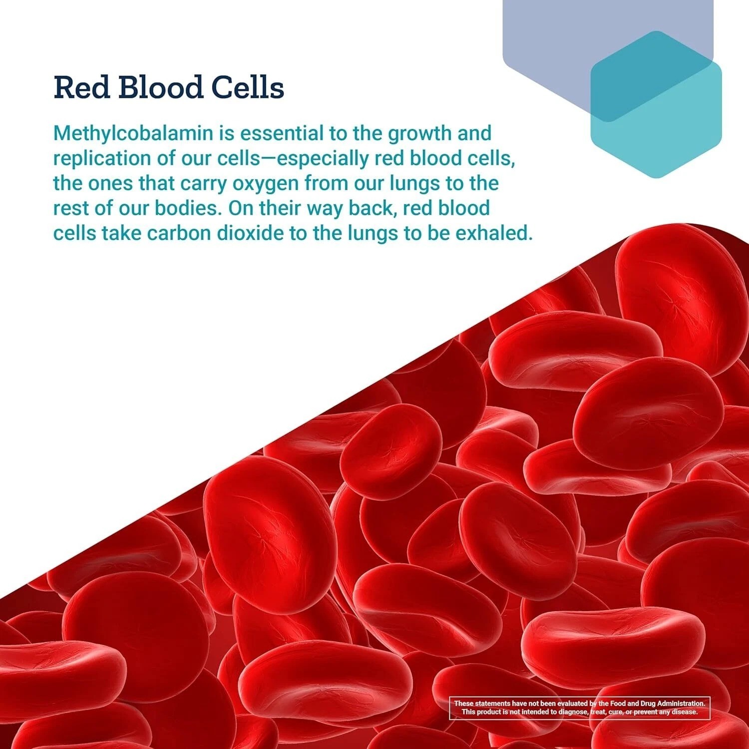 Life Extension Vitamin B12 Methylcobalamin 500mcg - 100 count