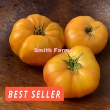 50 Seeds Sunshine Tomato Easy Vegetable Garden Planting Edible