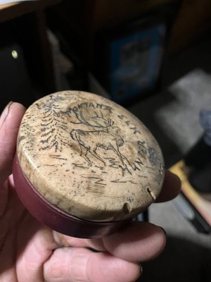 Bull Elk Scrimshawed  box cover, natural authentic carved horn,  C.E.Jauert
