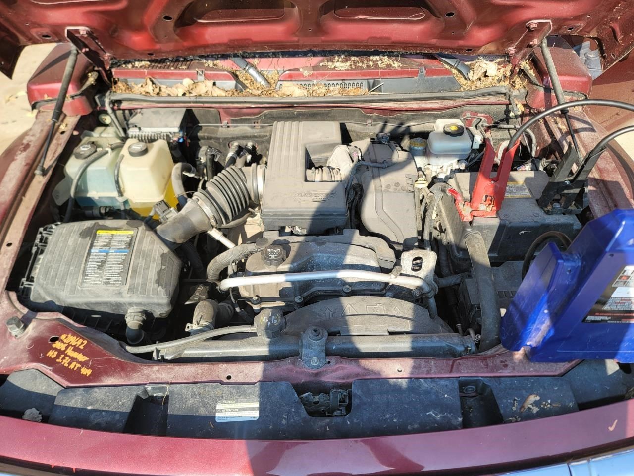 Picture 4