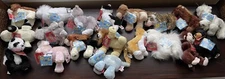 Webkinz Cares Collection Large Lot Of 19 Hard To Find NWT Unused Codes