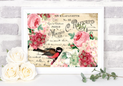Vintage Image Typography French Birds Roses Paris Decor Art Wall Print~Unframed 