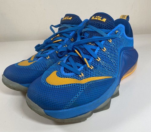 lebron 12 low entourage