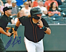 Creed Willems Signed IP 2024 Aberdeen IronBirds 8x10 Photo Orioles #25 Prospect!