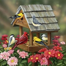Ceramic Backsplash Tile Mural Bird Kitchen/Bathroom - Backyard Birds Fall Feast