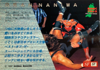 Gran Naniwa SF 57 Pro-Wrestling BBM 1997 Fight magazine rare card