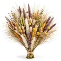 Pampasgras Trockenblumen Boho Deko Herbst Hochzeit Party 100 StüCk 17 Zoll Set