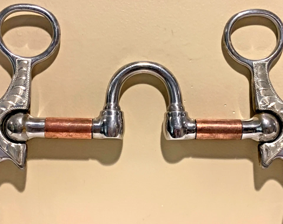 Broca de caballo occidental puerto correccional Bob Ávila Santa María elección profesional Foto 4 de 4