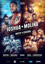 ANTHONY JOSHUA vs. ERIC MOLINA Manchester Arena 2016 Boxing - poster no frame