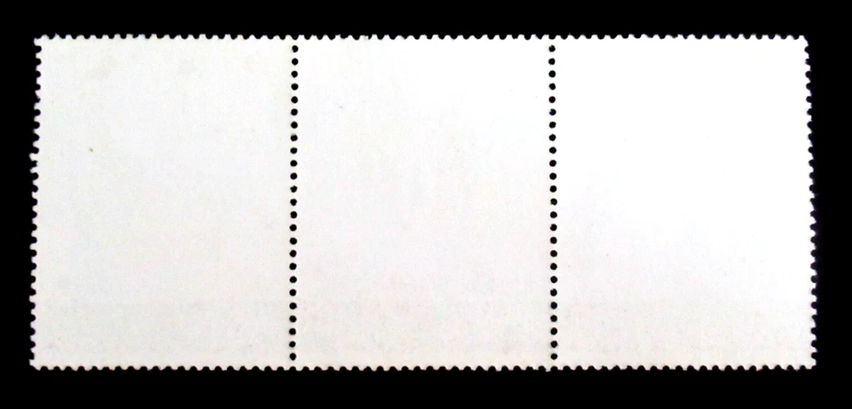 Марки 1977 пальмовая белка дикие животные Гвинея полоска из 3 б/у - Изображение 2 из 2